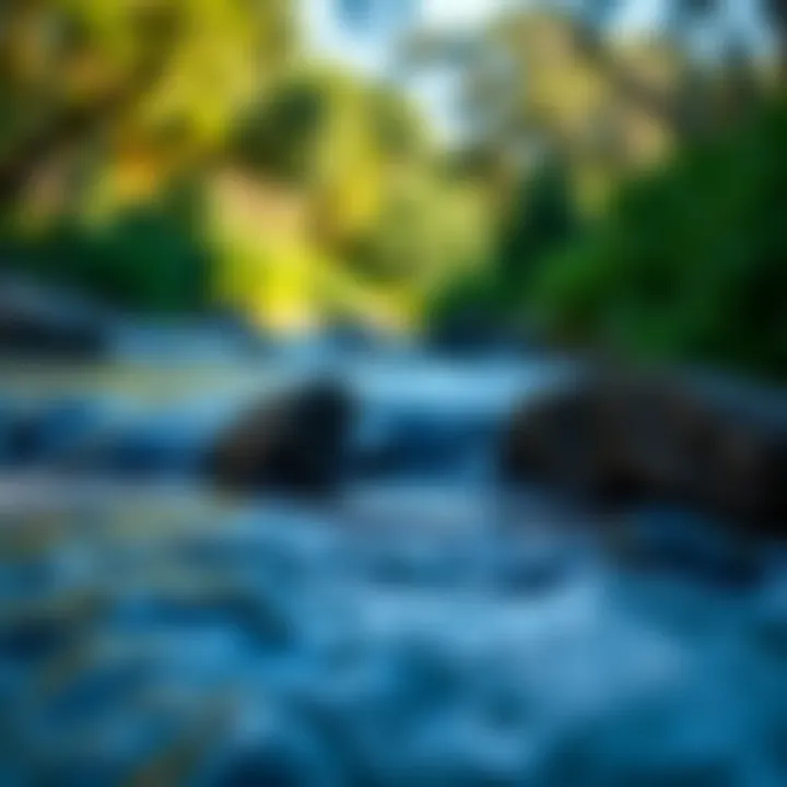 A tranquil river flowing through a pristine environment