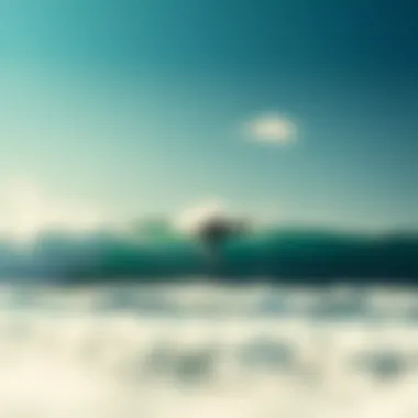 Comparative analysis of surfing conditions with varying wind speeds
