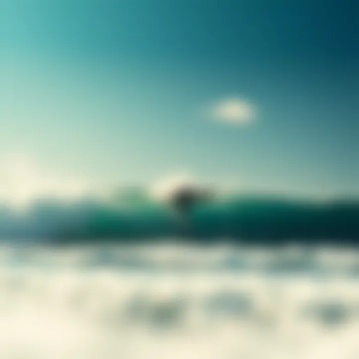Comparative analysis of surfing conditions with varying wind speeds