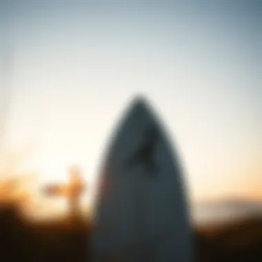Understanding Surfboard Fee Structure Cost breakdown for surfboard fees
