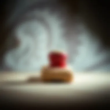 Overview of different sandpaper grits suitable for Surfprep electric sander