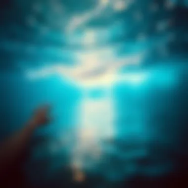 Ocean Sounds to Sleep By: A Soothing Journey into Acoustic Relaxation Summary Ocean Sounds to Sleep By: A Soothing Journey into Acoustic Relaxation Summary