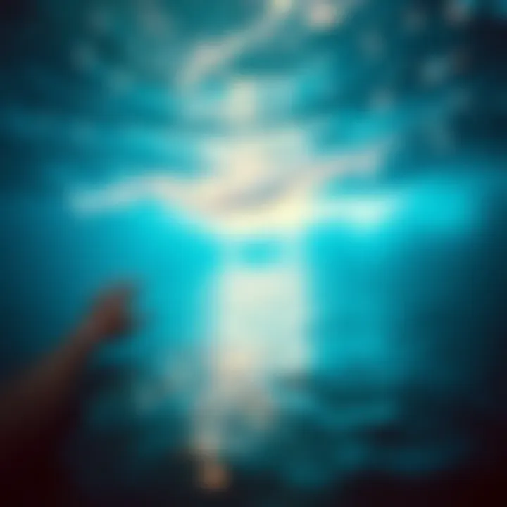 Ocean Sounds to Sleep By: A Soothing Journey into Acoustic Relaxation Summary Ocean Sounds to Sleep By: A Soothing Journey into Acoustic Relaxation Summary