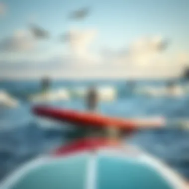Comparing Different Paddle Board Shapes Comparison of paddle board shapes and their uses