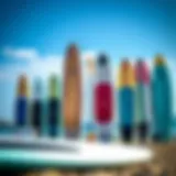 Diverse paddle board sizes lined up