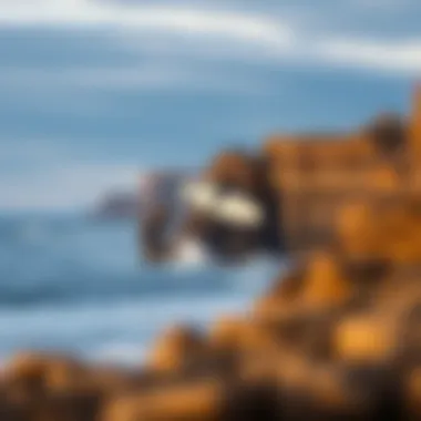 Diverse Surf Spots Along Patagonia's Coastline A scenic coastline of Patagonia showcasing diverse surf spots