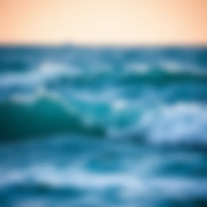 Community Initiatives for Ocean Preservation Community efforts in ocean preservation