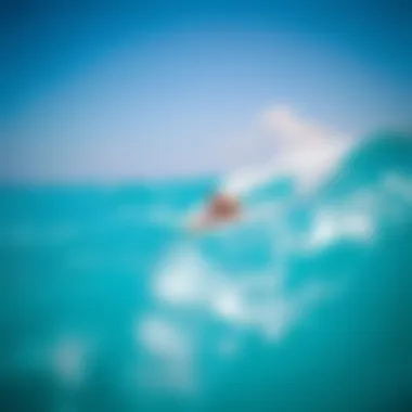 Joy of Surfing in Pristine Ocean Conditions Surfing in clean, vibrant ocean waters