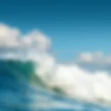 Puro Surf Reviews: An In-Depth Analysis of Surfboard Choices Introduction