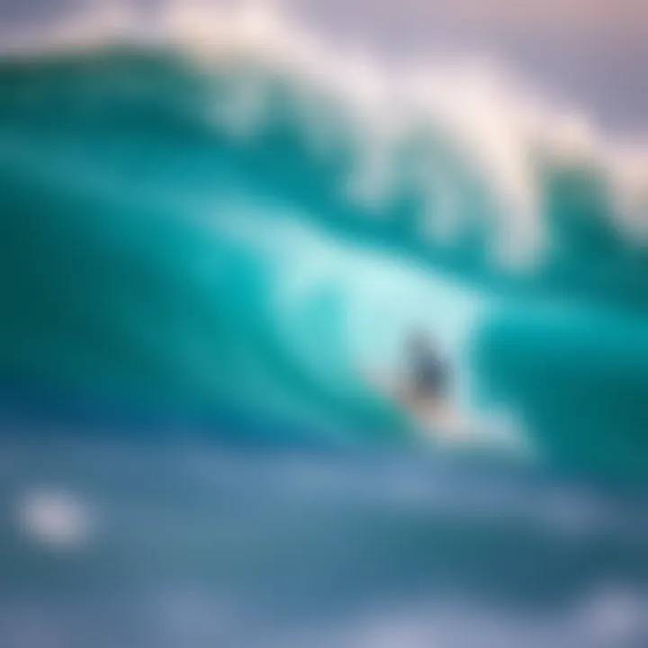 Puro Surf Reviews: An In-Depth Analysis of Surfboard Choices Summary Puro Surf Reviews: An In-Depth Analysis of Surfboard Choices Summary
