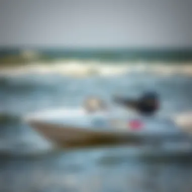 Remote Control Bait Boats for Surf Fishing: A Comprehensive Overview Summary Remote Control Bait Boats for Surf Fishing: A Comprehensive Overview Summary