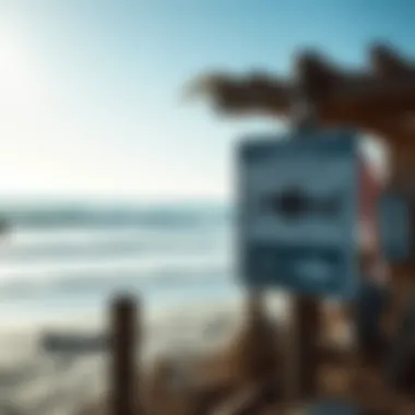 A serene beach scene illustrating a surfing spot with shark awareness signage