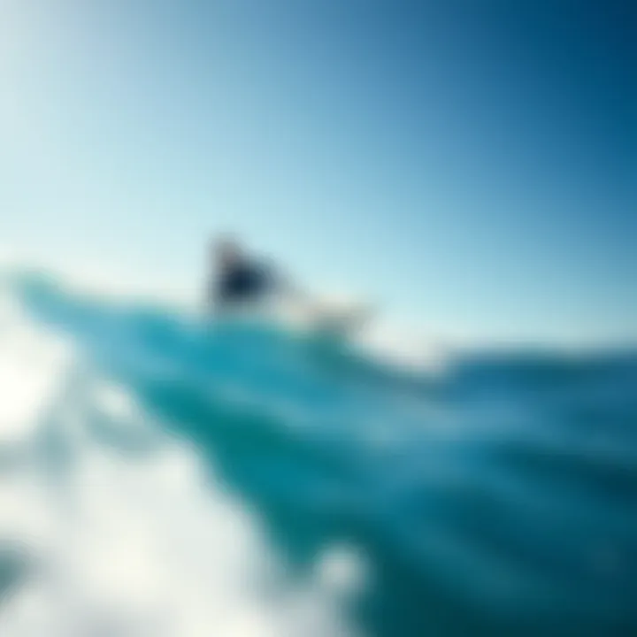 A surfer paddling in ocean waters with a shark deterrent device visible