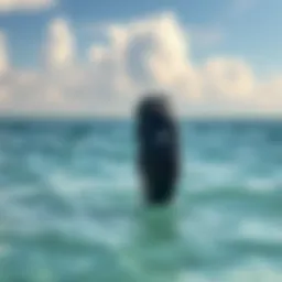 Sharkbanz 2 band displayed against ocean backdrop