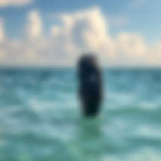 Sharkbanz 2 in Ocean Setting Sharkbanz 2 band displayed against ocean backdrop