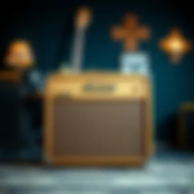 Classic Surf Guitar Amplifier Classic surf guitar amplifier setup