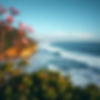 Scenic Surf Locations Coastal landscape showcasing surf spots