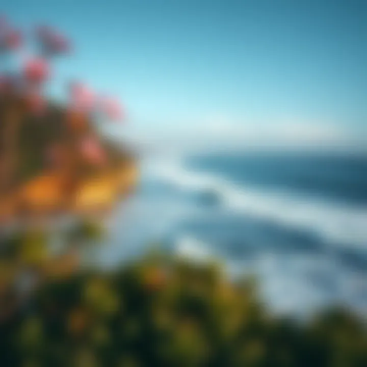 Scenic Surf Locations Coastal landscape showcasing surf spots