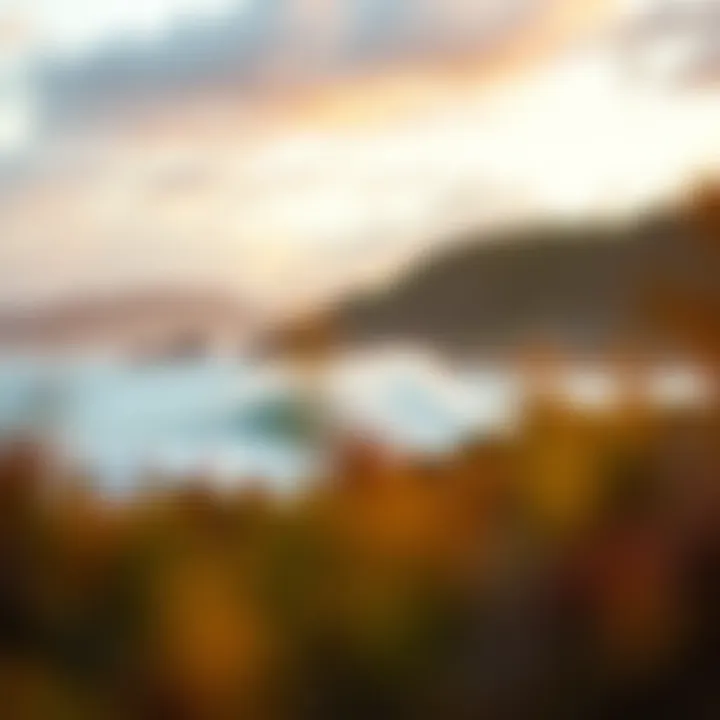 Mobile Surf Reporting Tools Detailed surf report on a mobile device