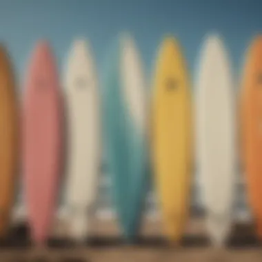 Different surfboard shapes displayed side by side