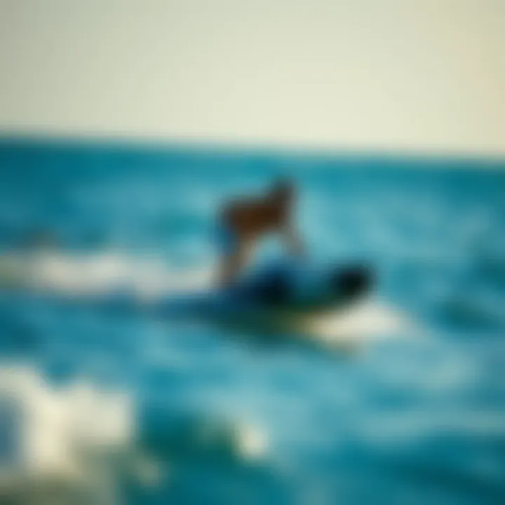 Experience the Freedom of Motorized Surfing A rider experiencing the freedom of motorized surfing in open waters