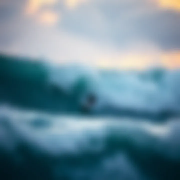 Understanding Wave Dynamics An educational session on wave dynamics