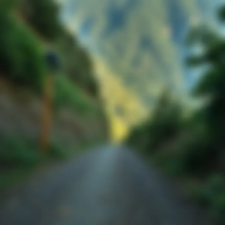 Ideal Longboarding Path A scenic downhill path ideal for longboarding, surrounded by lush greenery.