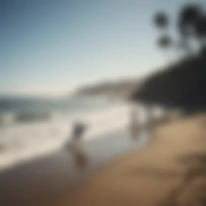 A group of surfers engaging in a beach clean-up activity