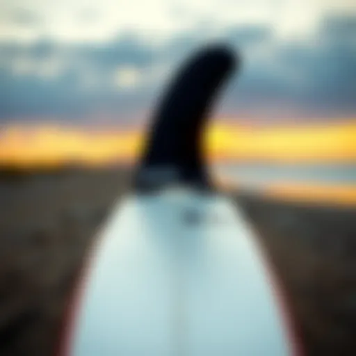 Modern surfboard fin design showcasing innovative shapes