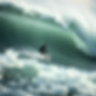 Surfer Riding a Wave Surfer riding a wave shaped by ocean winds