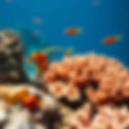 Vibrant marine life thriving in a coral reef