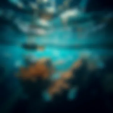 Biodiversity Beneath the Ocean Surface An intricate view of ocean depths teeming with biodiversity