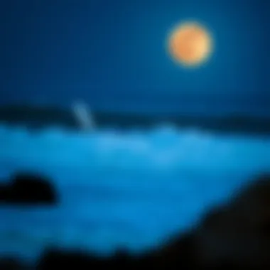 Historical perspective of tides and the Moon