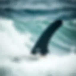 The Role of MS Viper Fins in Surfboarding Introduction