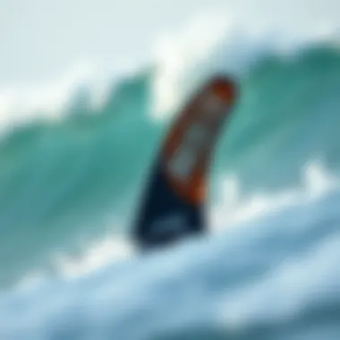 The Role of MS Viper Fins in Surfboarding Summary The Role of MS Viper Fins in Surfboarding Summary