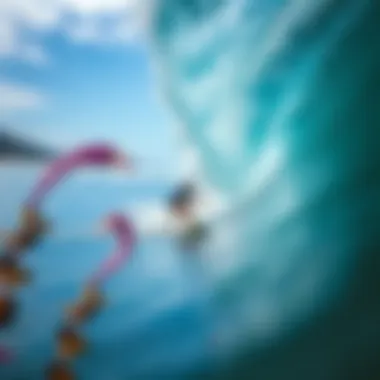 Salinity's Ecological Influence on Marine Life Ecological impact of salinity on marine ecosystems