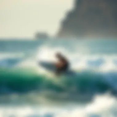 The Interaction of Ocean Salinity and Surfing Conditions Surfing dynamics influenced by ocean salinity