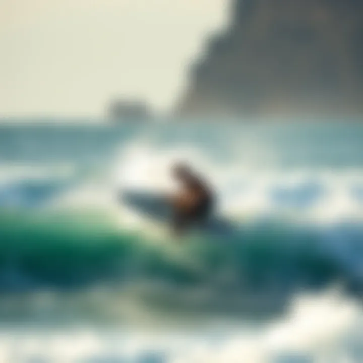 The Interaction of Ocean Salinity and Surfing Conditions Surfing dynamics influenced by ocean salinity