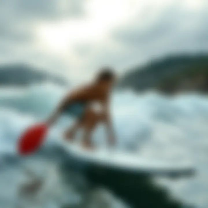 The Role of Surf Paddle Exercise in Enhancing Surfing Performance Summary