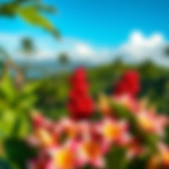 Hawaiian Landscape with Seasonal Lei Blooms A scenic view of Hawaii's natural landscape, with seasonal blooms of lei flowers prominently displayed.
