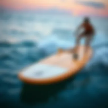 Market trends in electric surf technology