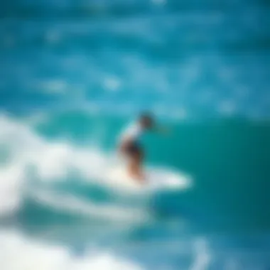 Neurological Mechanisms of Balance Control Neurological processes in balance