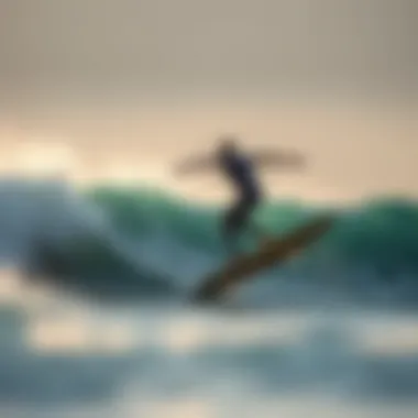 Role of Sensory Inputs in Maintaining Balance Sensory inputs affecting balance