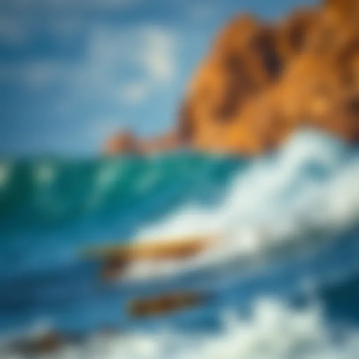 Longboarding in Diverse Surfing Environments Visual representation of longboarding in various environments