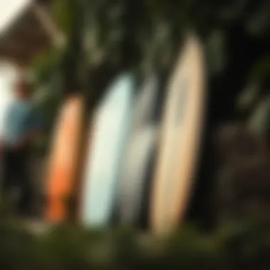 Diverse Longboard Shapes and Their Characteristics Comparison of different longboard shapes and styles