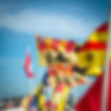 A vibrant display of race committee flags at a surf competition