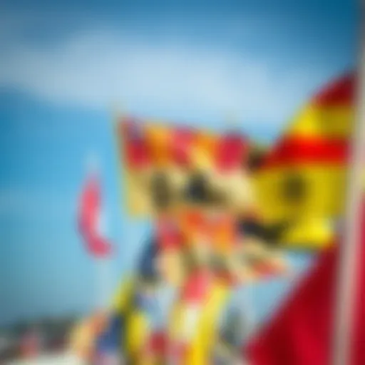 A vibrant display of race committee flags at a surf competition