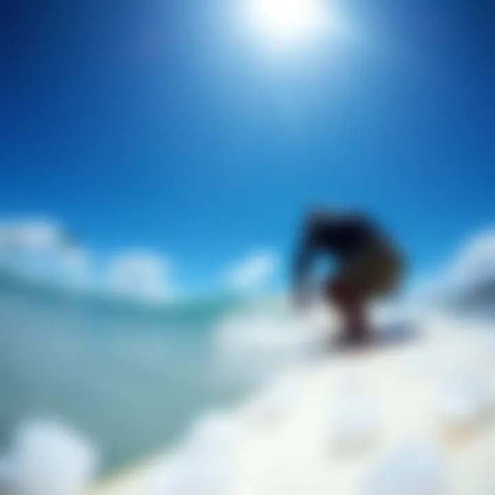 Understanding the GoPro Kite Line Mount: A Comprehensive Guide for Surf Enthusiasts Summary Understanding the GoPro Kite Line Mount: A Comprehensive Guide for Surf Enthusiasts Summary