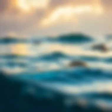 Water Cycle and Ocean Salinity Diagram illustrating the water cycle and its influence on ocean salinity