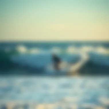 Maximizing Surfing Experience Through Weather Insights Surfers enjoying optimal conditions based on wind analysis